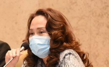 Raker Dengan Kemenhub RI, Cen Sui Lan Dorong Pemerataan Pembangunan Diwilayah Kepri