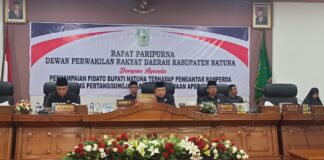 Bupati Natuna Sampaikan LKPJ, Berikut Realisasi Anggaran dan Silpa Tahun 2022