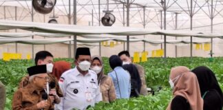 Wakil Presiden RI dan Gubernur Kepri Meninjau Pusat Pertanian Modern di Batam