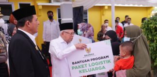 Tinjau Posyandu di Bintan, Wapres RI Tekankan Penurunan Angka Stunting Kepri