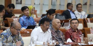 BP Batam Laporkan Evaluasi Anggaran Terkini Dalam RDP Komisi VI DPR RI