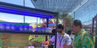 Wakil Bupati Asahan Ikuti Rangkaian Penas ke XVI di Padang