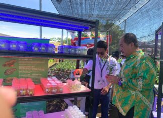 Wakil Bupati Asahan Ikuti Rangkaian Penas ke XVI di Padang