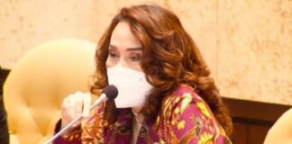 Cen Sui Lan Minta Kemenhub Berikan Subsidi Untuk Penerbangan ke Natuna