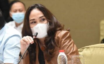 Cen Sui Lan Minta Program pengembangan internet Desa di Kepri Kepada Kemendesa PDTT