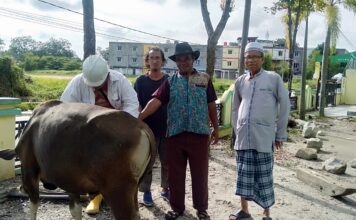 PWI Karimun Serahkan Hewan Kurban 1 Ekor Sapi ke Masjid Nurul Huda