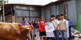 Idul Adha, YBM PLN Salurkan 1.444 Hewan Kurban Ke Seluruh Indonesia