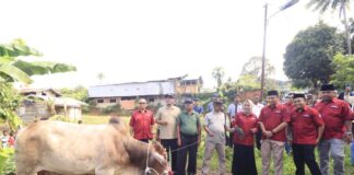 Pemotongan Hewan Qurban dari Indo Jalito Peduli Diiringi Kumandangan Takbir