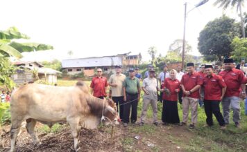 Pemotongan Hewan Qurban dari Indo Jalito Peduli Diiringi Kumandangan Takbir