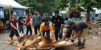 Momen Idul Adha 1444 H, BP Batam Sembelih Hewan Qurban Hingga Launching Tabungan Qurban