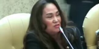 Cen Sui Lan Minta Kementerian PUPR Bangun 2 Jembatan di Serasan – Natuna Bulan Agustus 2023