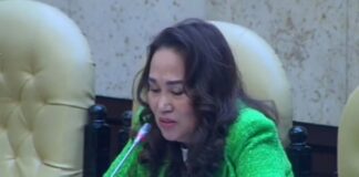 Berkat Perjuangan Cen Sui Lan, Folder Penanggulangan Banjir di Tanjungpinang dan Sungai Pelunggut Batam Dibangun 2024