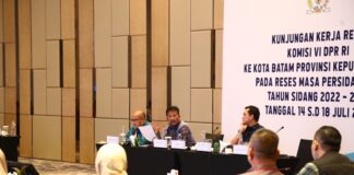 Kepala BP Batam Sampaikan Kemajuan Batam Kepada DPR RI