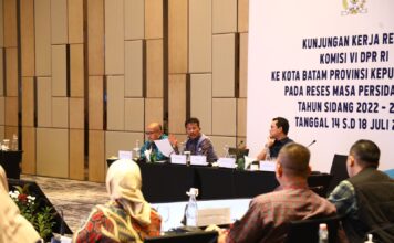 Kepala BP Batam Sampaikan Kemajuan Batam Kepada DPR RI