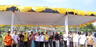 Tahun 2024 Cen Sui Lan Anggarkan Rp25 Miliar Untuk Penataan Kawasan Kolong dan Paya Manggis, Karimun