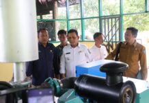 Tambah Pasokan Mesin 1000 KW, Langkah Pemprov Kepri Bersama PLN Mengatasi Gangguan Kelistrikan di Natuna