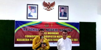 Datangkan 2 Mesin Listrik di Natuna Masih Status Siaga, Tak Usah Cemas PLN Siap Bangun Pembangkit Baru