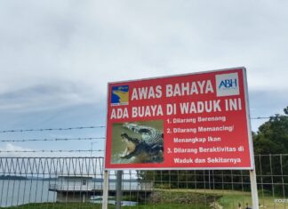 Viral Penampakan Buaya di Area DAM Duriangkang, BP Batam Himbau Masyarakat Waspada