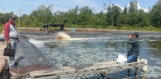 Bupati Lingga Andalkan Sektor Perikanan Untuk Peningkatan Ekonomi Masyarakat