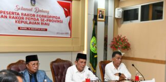 Pertumbuhan Ekonomi dan Pengendalian Inflasi Kepri Terbaik Ke-4 Secara Nasional