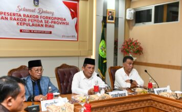 Pertumbuhan Ekonomi dan Pengendalian Inflasi Kepri Terbaik Ke-4 Secara Nasional