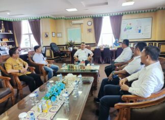 Pemda Natuna Siapkan Lahan 2 Hektar Untuk Mesin PLN Berkapasitas 4,5 Mega Watt