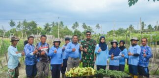 Danlanud dan Ketua PIA Panen Raya Jagung Manis