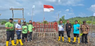 Tanam Pohon Mangrove, Gubernur Ansar Ajak Masyarakat Cinta Alam