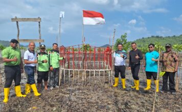 Tanam Pohon Mangrove, Gubernur Ansar Ajak Masyarakat Cinta Alam
