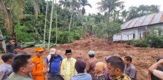 Akibat Curah Hujan Tinggi, Beberapa Wilayah di Lima Puluh Kota Alami Longsor