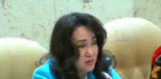 Raker Bersama Kemenhub, Cen Sui Lan Kembali Perjuangkan Kapal RoRo Mini Untuk Lingga