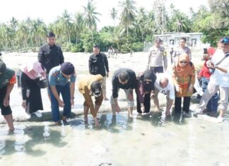Dukung Pelestarian Penyu, Bupati Natuna Bersama Danposal Lepas Puluhan Tukik di Pulau Subi