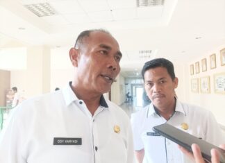 Terminal Penumpang Baru Bandara Letung Akan Dilengkapi Fasilitas Internet