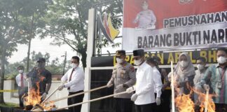 Polres 50 Kota Musnahkan Barang Bukti Narkotika Seberat 54,1 Kg, Ini Jenisnya