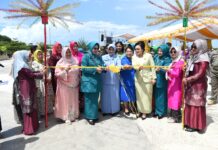 Lestarikan Budaya Melayu, Dewi Ansar Buka Pameran dan Bazar Kuliner PKD Kepri