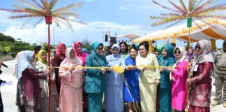 Lestarikan Budaya Melayu, Dewi Ansar Buka Pameran dan Bazar Kuliner PKD Kepri