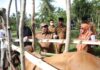 Tinjau Vaksinasi Sapi dan Ayam Petelur, Pj Bupati Aceh Utara Apresiasi Bisnis Peternakan