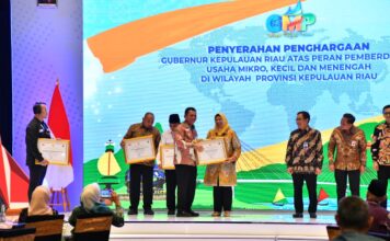 Berkontribusi Dalam Pemberdayaan UMKM, Dekranasda Kepri Terima Penghargaan