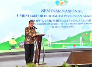Pentingnya Perluasan Akses Pasar UMKM ke Mancanegara