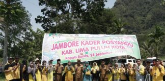 Tingkatkan Kapasitas, Pemkab 50 Kota Gelar Jambore Kader Posyandu