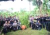 Polres Aceh Utara Musnahkan 40 Ribu Batang Ganja di Sawang