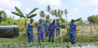 Aspotdirga Kasau Didampingi Danlanud RSA Tinjau Kebun Ketahanan Pangan dan Mangrove
