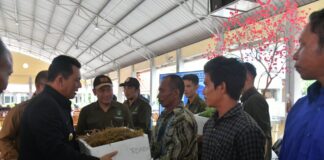 Gubernur Kepri Serahkan Bantuan Untuk Sektor Kelautan dan Perikanan di Kota Batam