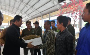 Gubernur Kepri Serahkan Bantuan Untuk Sektor Kelautan dan Perikanan di Kota Batam