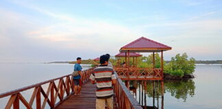 Suguhkan Pemandangan Hutan Bakau, Objek Wisata Ini Bisa Jadi Alternatif Melepas Penat