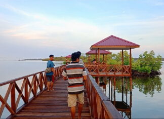 Suguhkan Pemandangan Hutan Bakau, Objek Wisata Ini Bisa Jadi Alternatif Melepas Penat