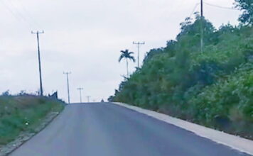 Kerja Nyata Cen Sui Lan, Jalan Tanjung Batu Karimun Sepanjang 10 Kilometer Menjadi Mulus