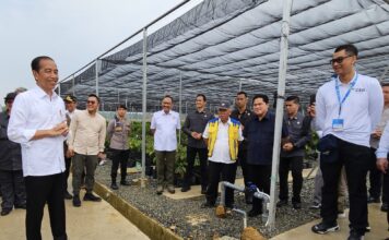 Dampingi Kunjungan Presiden di IKN, Dirut PLN Siap Penuhi Kebutuhan Listrik Dari Energi Bersih