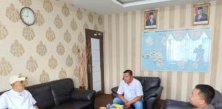 Gerak Cepat Sekda Lingga Atasi Krisis Listrik, PLN Tambah 2 Unit Mesin dari Batam