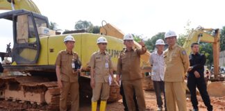 Gubernur Ansar Ahmad Tinjau Proyek Infrastruktur dan Tanaman di Bintan dan Tanjungpinang